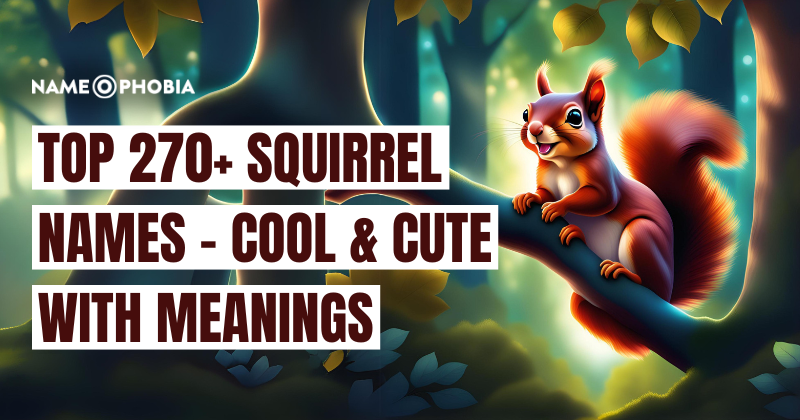 Top 270+ Squirrel Names - Cool & Cute with Meanings