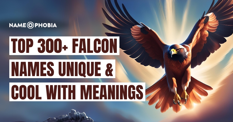 Top 300+ Falcon Names Unique & Cool With Meanings