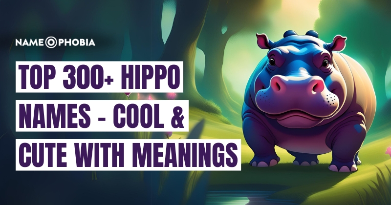 Top 300+ Hippo Names - Cool & Cute with Meanings