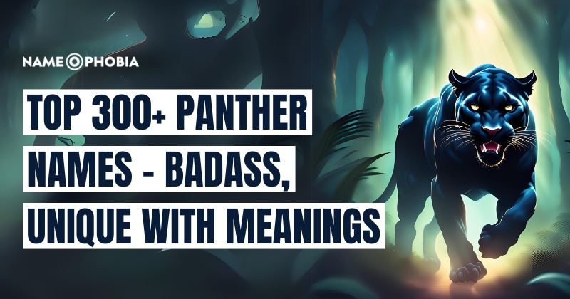 Top 300+ Panther Names - Badass, Unique With Meanings