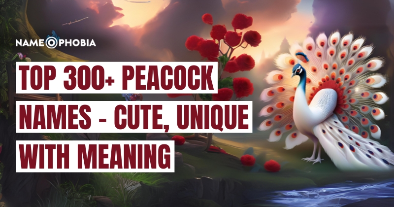 Top 300+ Peacock Names - Cute, Unique with Meaning