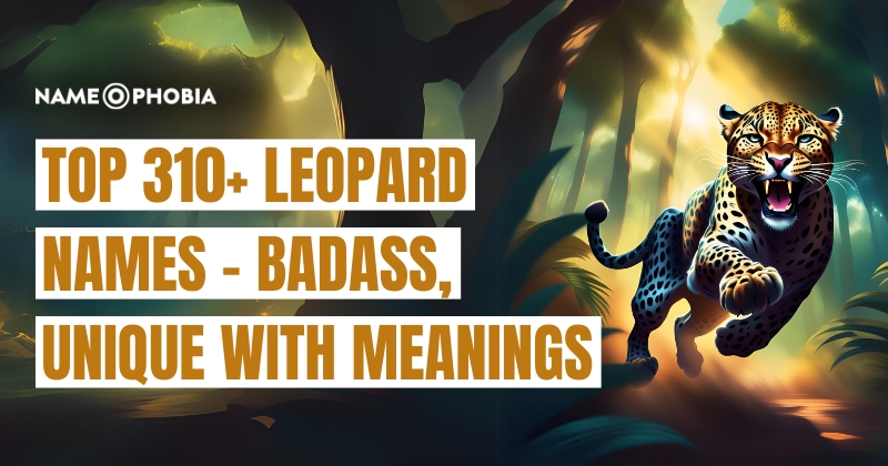 Top 310+ Leopard Names - Badass, Unique With Meanings