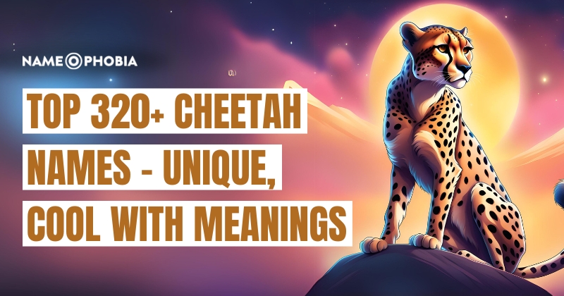 Top 320+ Cheetah Names - Unique, Cool With Meanings