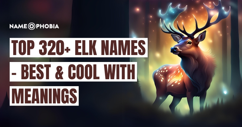 Top 320+ Elk Names - Best & Cool with Meanings