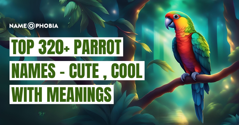 Top 320+ Parrot Names - Cute , Cool With Meanings