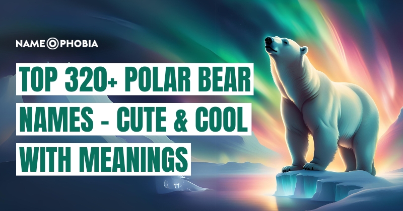 Top 320+ Polar Bear Names - Cute & Cool With Meanings