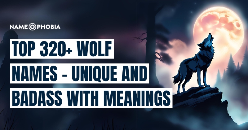 Top 320+ Wolf Names - Unique And Badass With Meanings