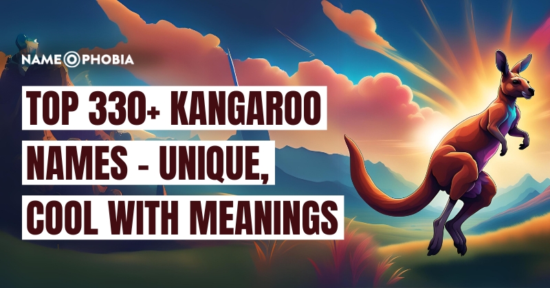 Top 330+ Kangaroo Names - Unique, Cool With Meanings