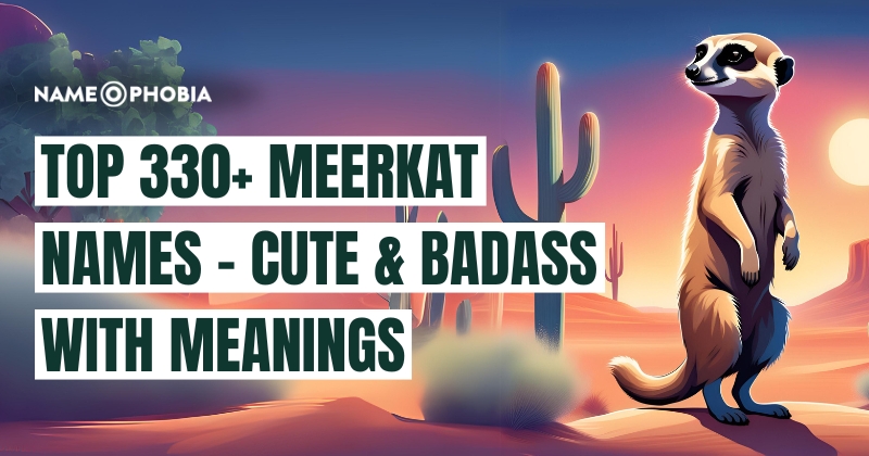 Top 330+ Meerkat Names - Cute & Badass With Meanings