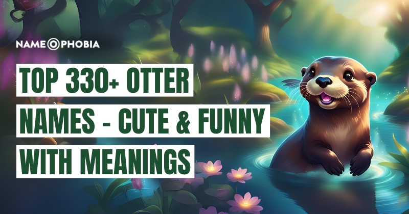 Top 330+ Otter Names - Cute & Funny with Meanings