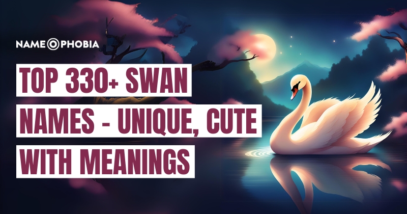 Top 330+ Swan Names - Unique, Cute With Meanings