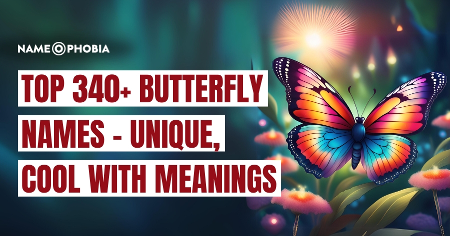 Top 340+ Butterfly Names - Unique, Cool With Meanings