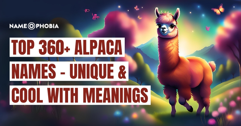 Top 360+ Alpaca Names - Unique & Cool with Meanings