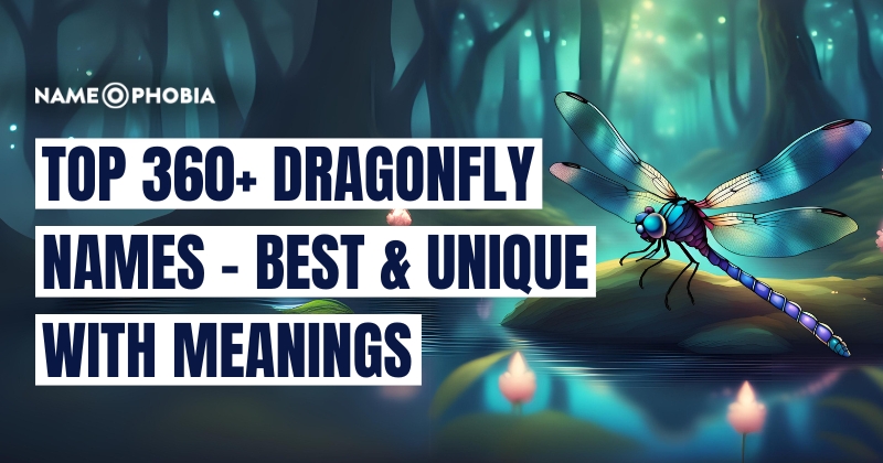 Top 360+ Dragonfly Names - Best & Unique With Meanings