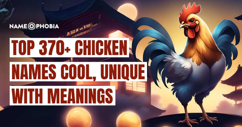 Top 370+ Chicken Names Cool, Unique With Meanings