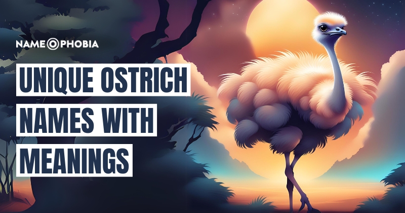 Unique Ostrich Names With Meanings