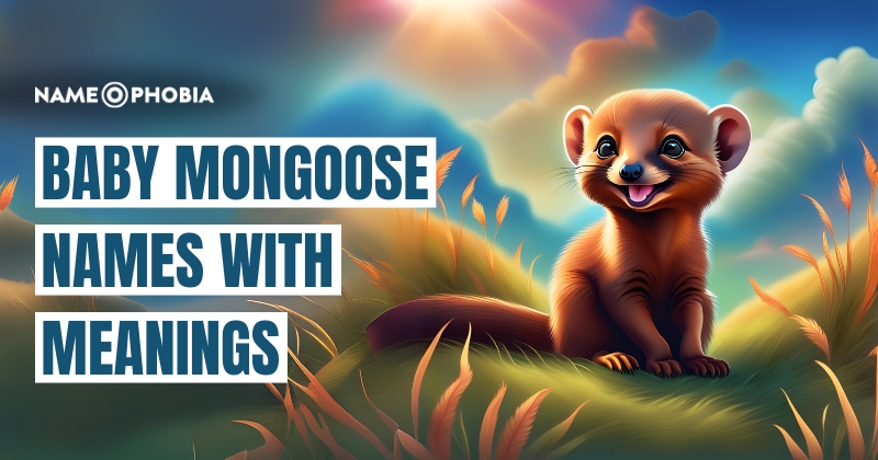 Baby Mongoose Names with Meanings