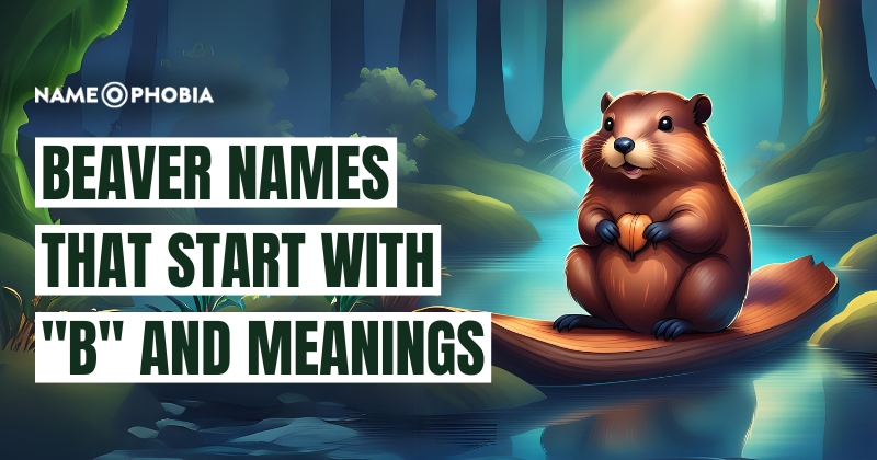 Beaver Names That Start with "B" and Meanings