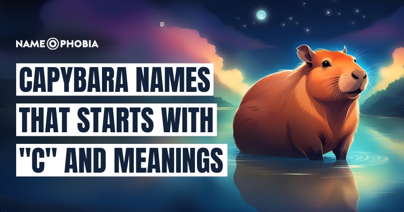 Capybara Names That Starts With "C" and Meanings