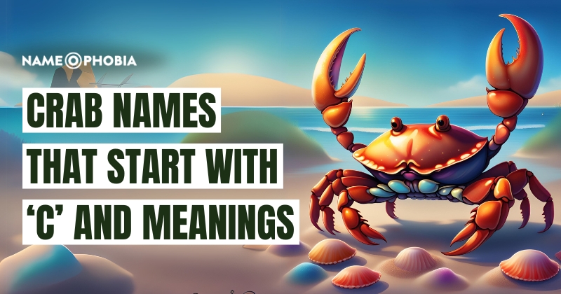 Crab Names that Start with ‘C’ and Meanings