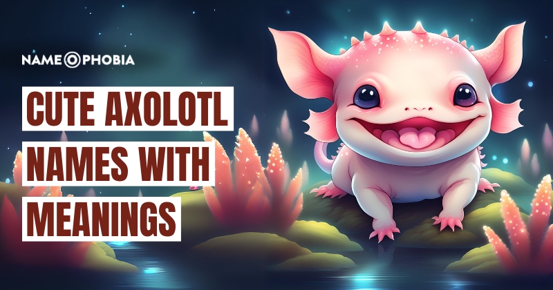 Cute Axolotl Names With Meanings