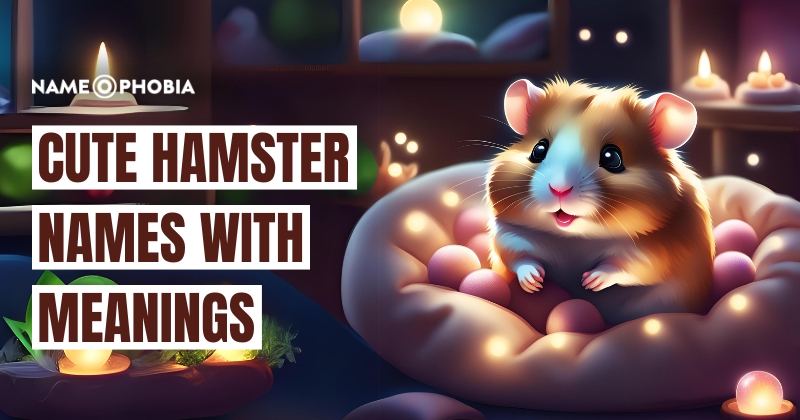 Cute Hamster Names with Meanings