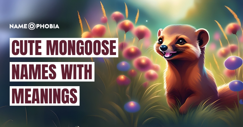 Cute Mongoose Names with Meanings