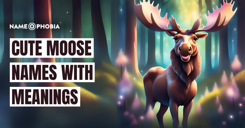 Cute Moose Names with Meanings