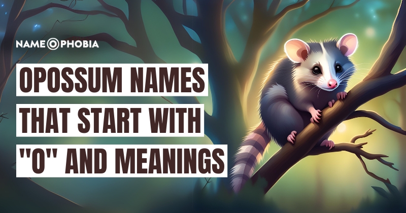 Opossum Names That Start with "O" and Meanings