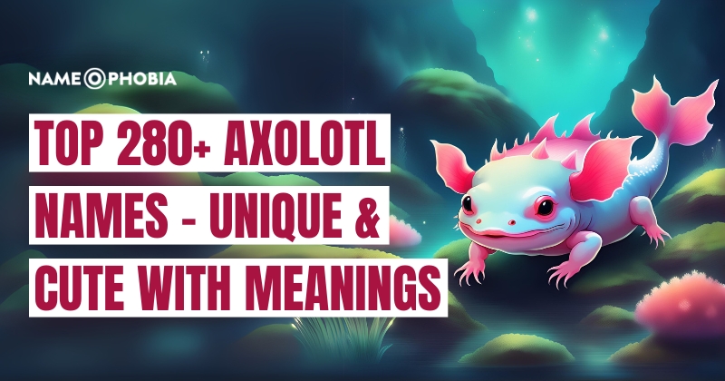 Top 280+ Axolotl Names - Unique & Cute With Meanings