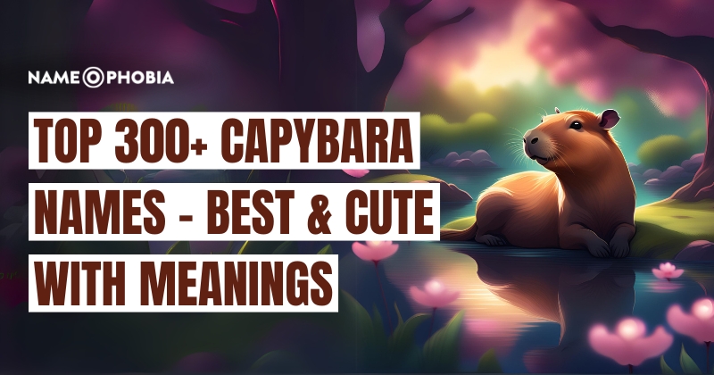 Top 300+ Capybara Names - Best & Cute with Meanings