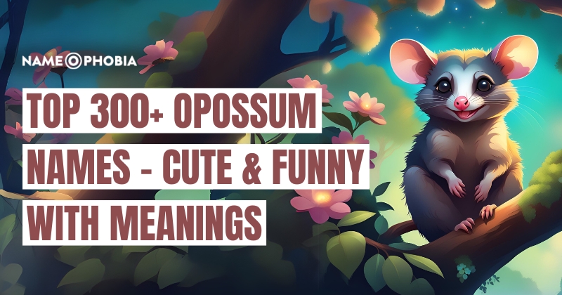 Top 300+ Opossum Names - Cute & Funny with Meanings