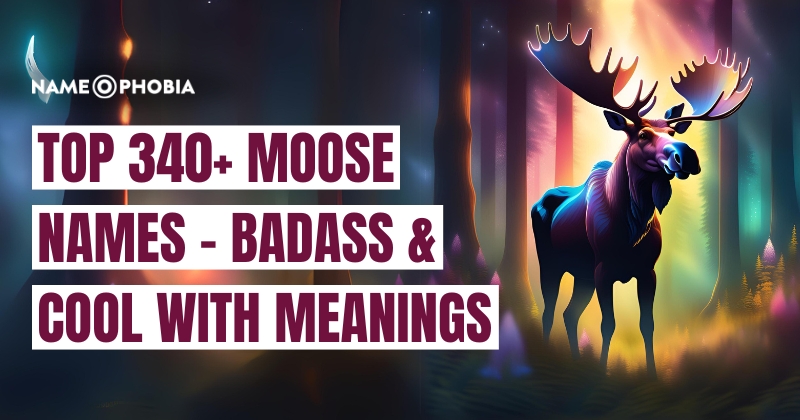 Top 340+ Moose Names - Badass & Cool with Meanings