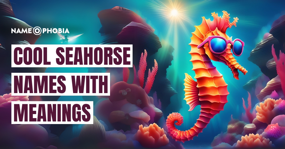 Cool Seahorse Names with Meanings