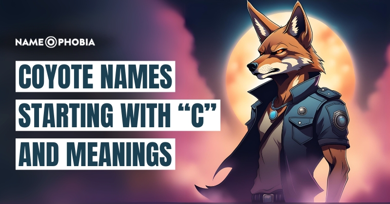 Coyote Names starting with “C” and Meanings