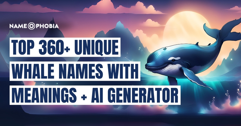 Top 360+ Unique Whale Names With Meanings + AI Generator