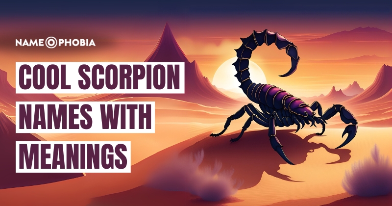 Cool Scorpion Names with Meanings