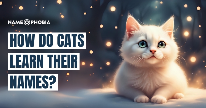 do cats know their names