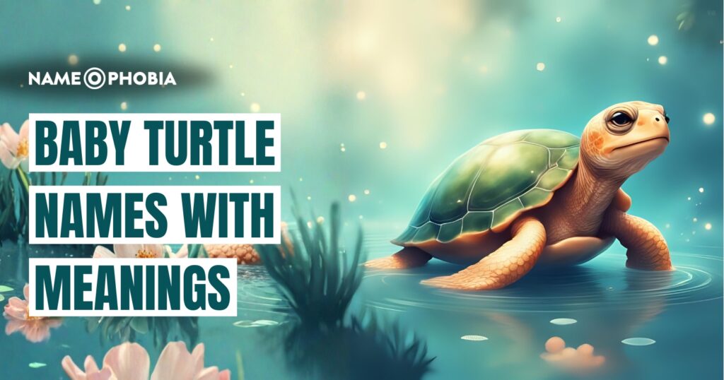 Baby Turtle Names With Meanings
